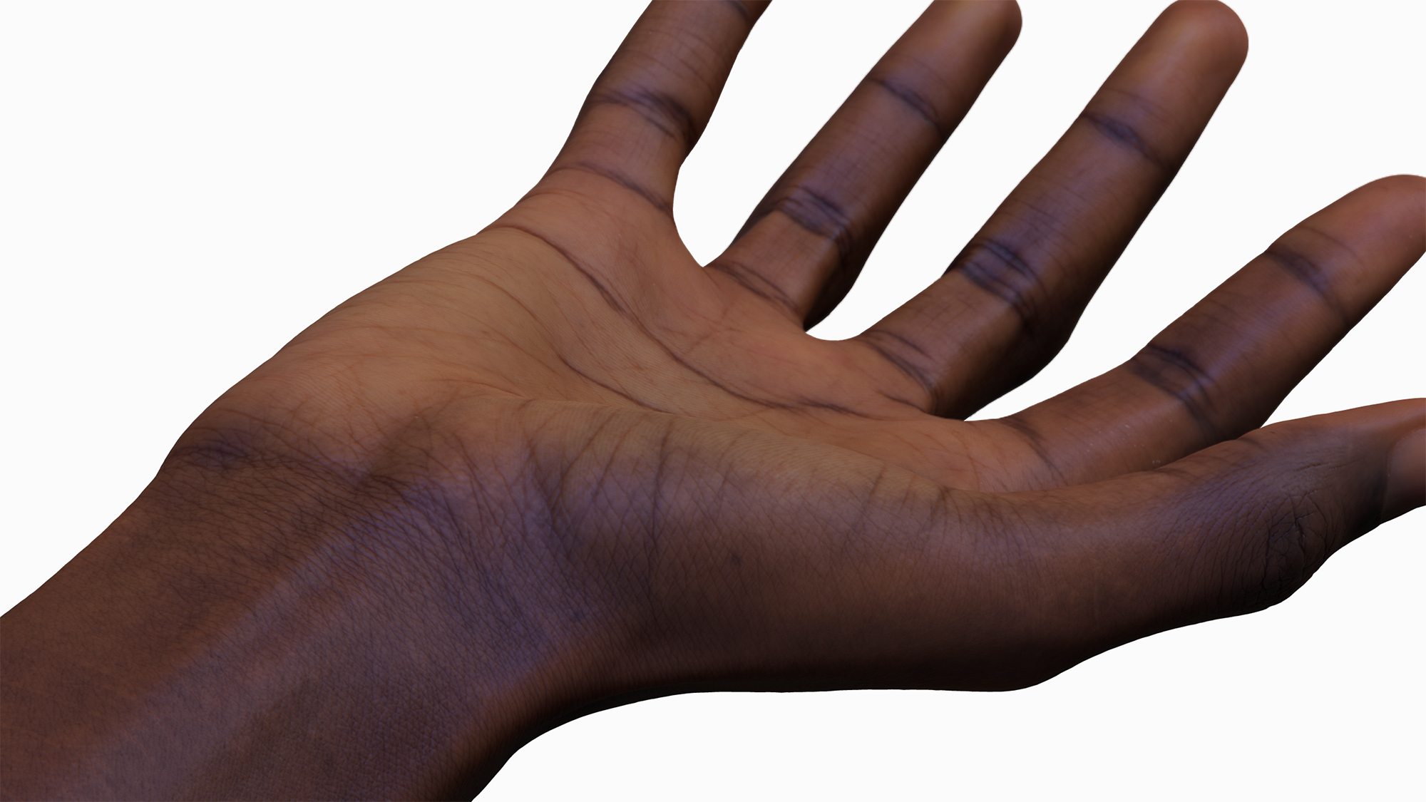 Close Up Black Female Twenty Years Old 3D Hand Model